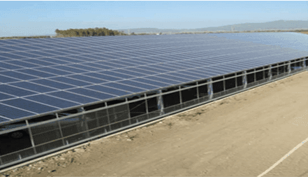 1 MW Greenhouse - Italy