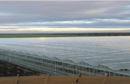15 MW PVT Greenhouse - Xin Tai