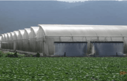 160H Greenhouse - Xin Tai